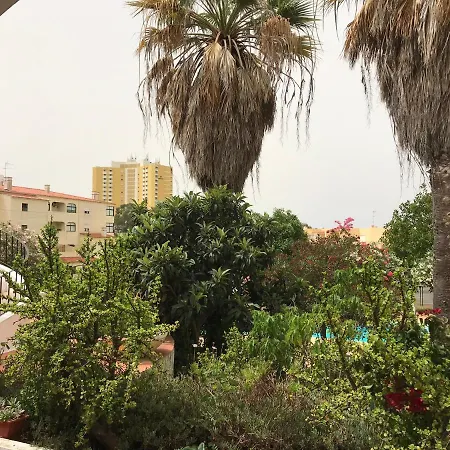 Alvila Casa Grande אלבור